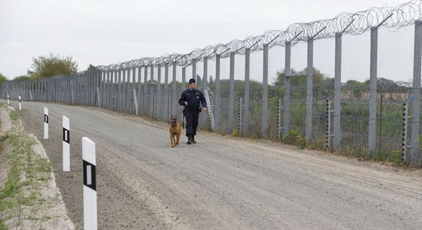 Folyamatosan ostromolják Magyarország déli határát az illegális bevándorlók (videó)