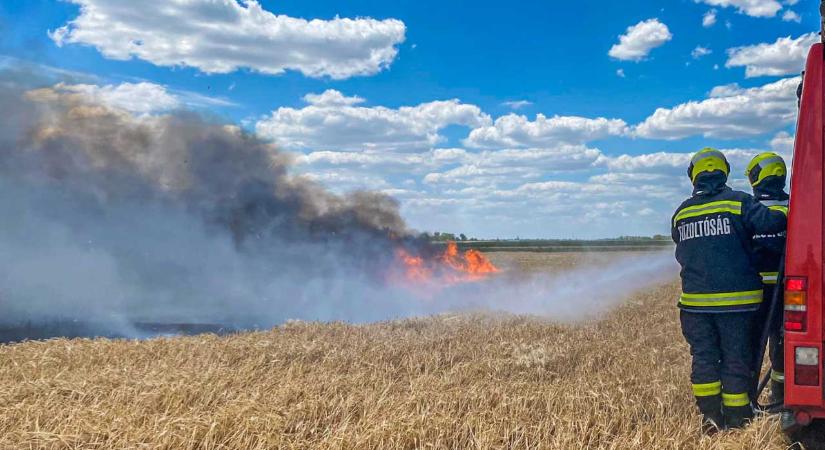Így előzd meg a tüzet! Tűzvédelem aratás idején