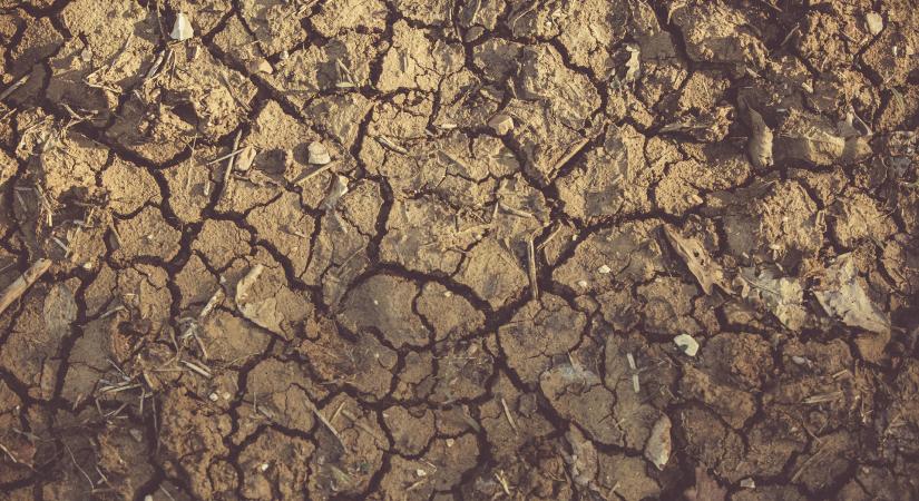 Nincs vizünk, de van emberség – a solymári vízhiány tanulsága