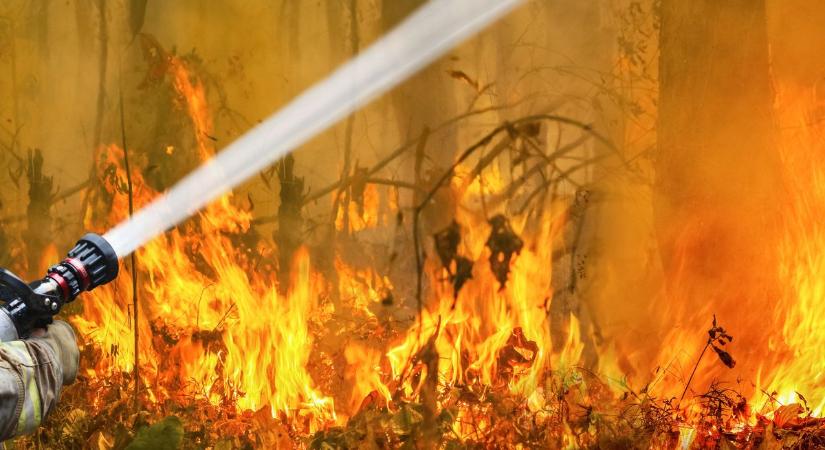 Hatalmas tűz keletkezett Miskolc külterületén