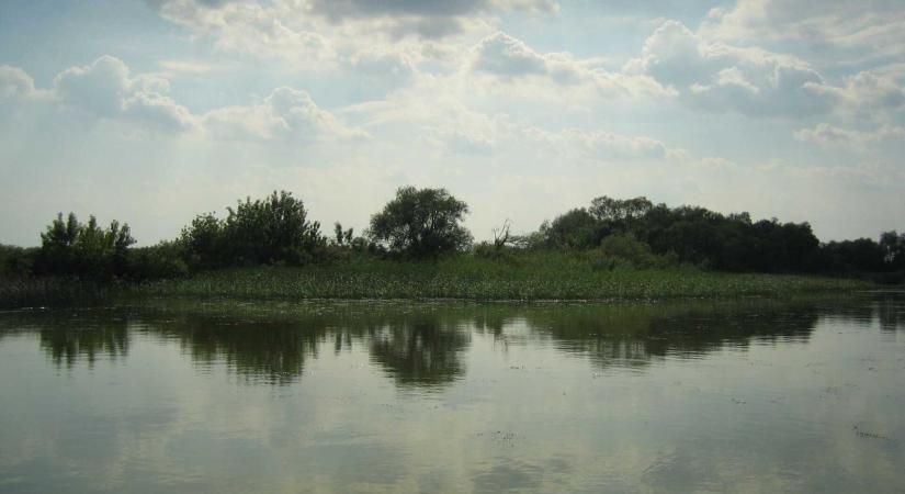 A Tisza-tóba fulladt egy fiatal rendőr