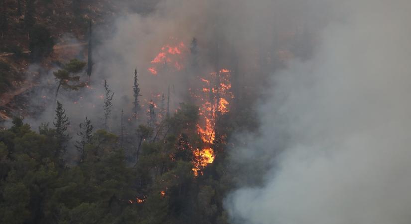Száz hektáron lángol egy fenyőerdő a Bükkben