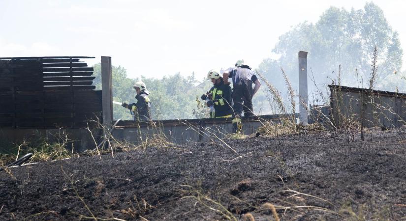 Tűzgyújtási tilalom Komárom-Esztergomban: a kijelölt helyeken is tilos tüzet rakni