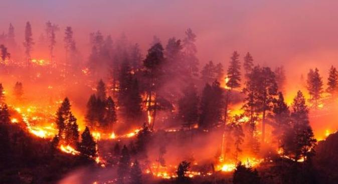 Katasztrofális a helyzet Miskolc közelében: 100 hektáron ég a fenyves a Bükkben