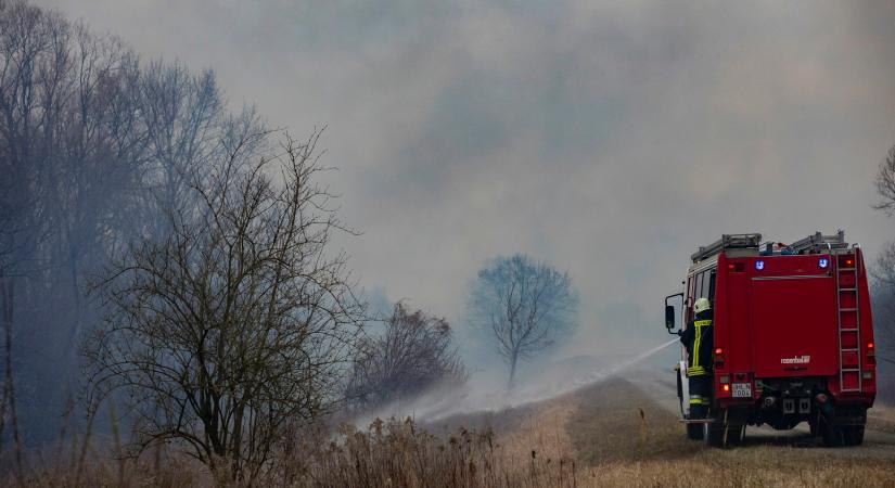 Fenyőerdő égett Miskolcnál, hajnalban eloltották a lángokat