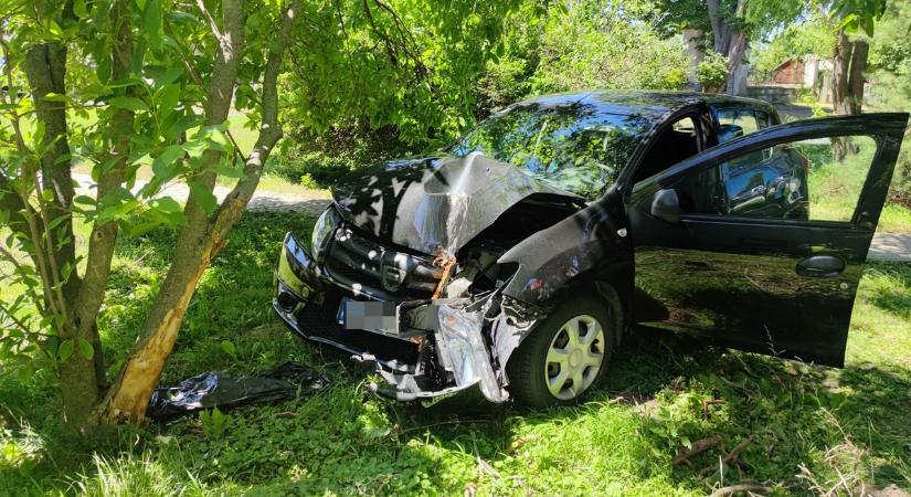 Rosszul lett a sofőr, fának csapódott egy autó Söptén - fotók