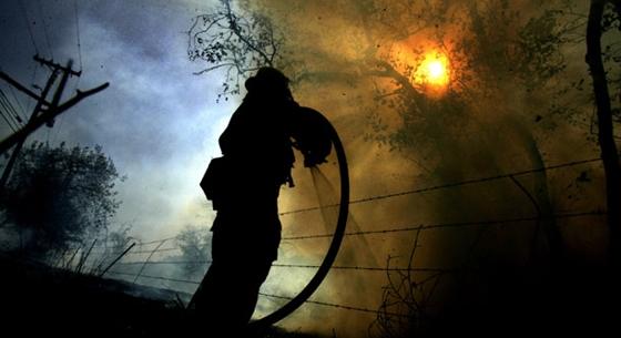 Fotókat közöltek a Bükk-fennsík hamuvá égett területéről