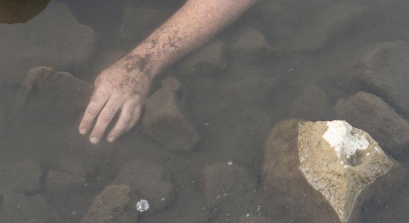 Tragédia: öntöző-víztározóba fulladt egy 13 éves fiú Száron