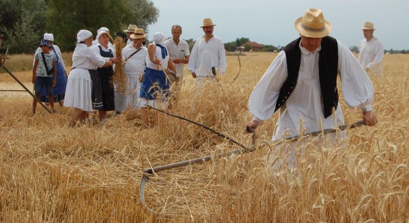 Felelevenítették a régi aratási szokásokat a kunszállási ünnepen