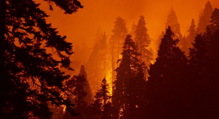 Hat ország tűzoltói segítik Görögországot az erdőtüzek elleni küzdelemben