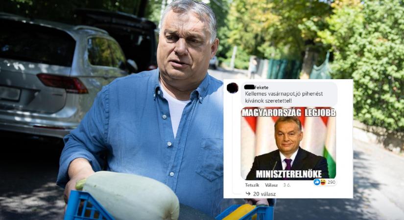 Multiorgazmust élnek át a hívek Orbán Viktor tökei láttán