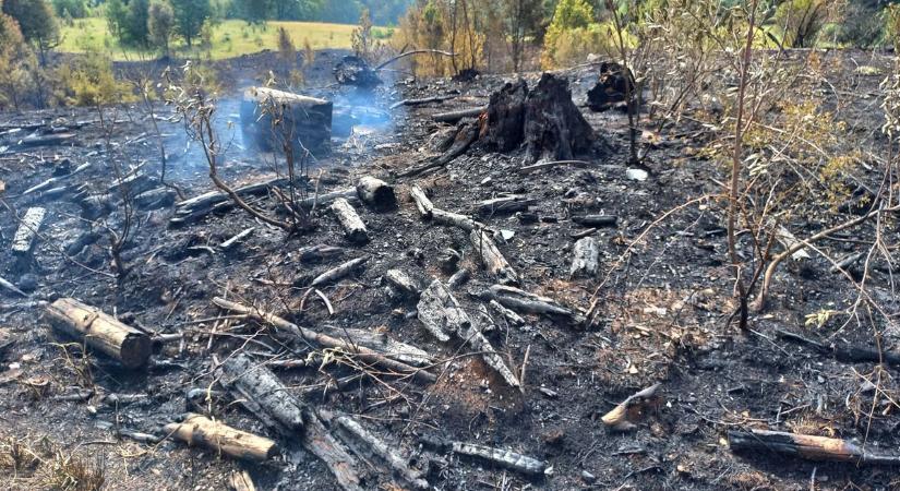 Erdőtűz a Bükkben: még napokig biztosítanak tűzőrséget a szakemberek