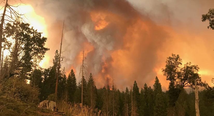 "Forró" hétvége: több helyen is pusztított a tűz a természetben