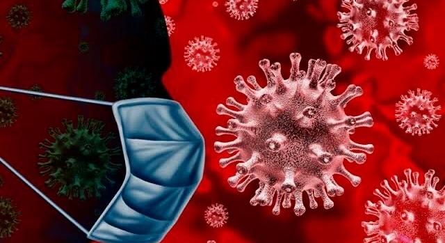 Koronavírus Szlovákiában: 59 új vírusfertőzött, 213 elvégzett PCR-tesztelés