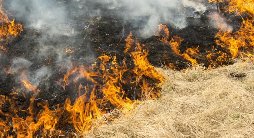 Ötven hektáron tombol a tűz Békés megyében