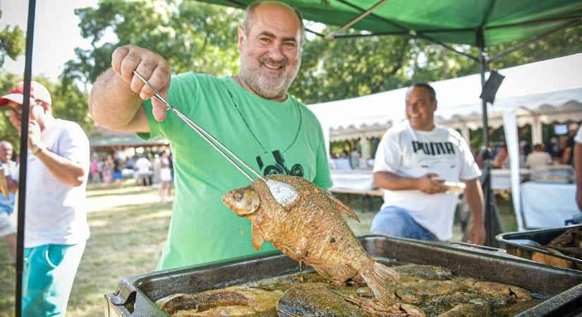Három mázsa halat sütöttek meg a fesztiválon