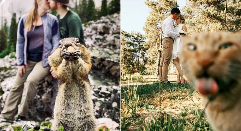 10 tapintatlan állat, aki széttrollkodta a romantikus fotókat - Ellopták a show-t a szerelmes képeken