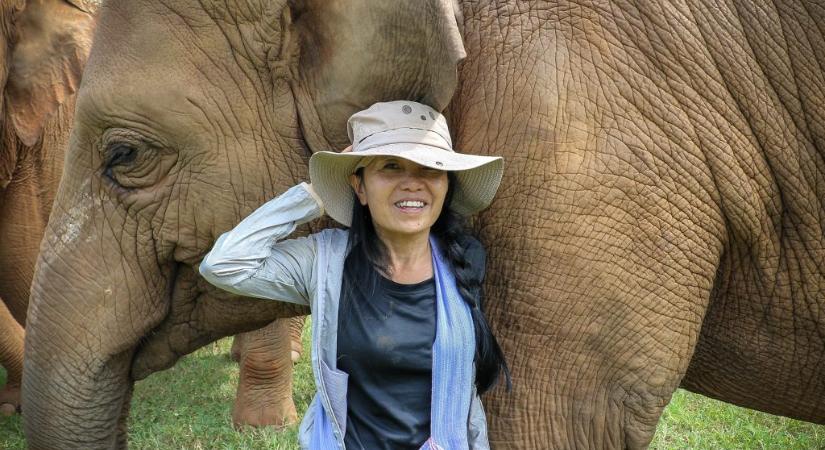 Ázsia hőse, az elefántsuttogó – 1. rész