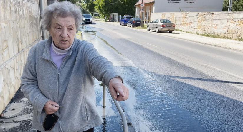 Bajban van a 83 éves solymári asszony: csőtörés mossa el a házát