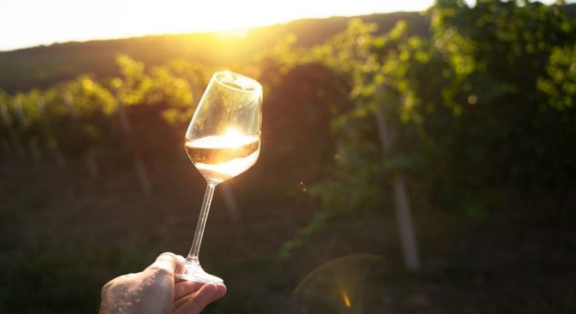 Népszerűek lesznek idén a magyar borok külföldön