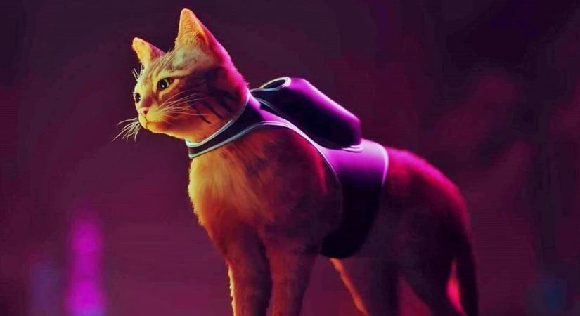 Stray: Elképesztően cuki kiegészítő érkezik a macskás sci-fi kalandhoz