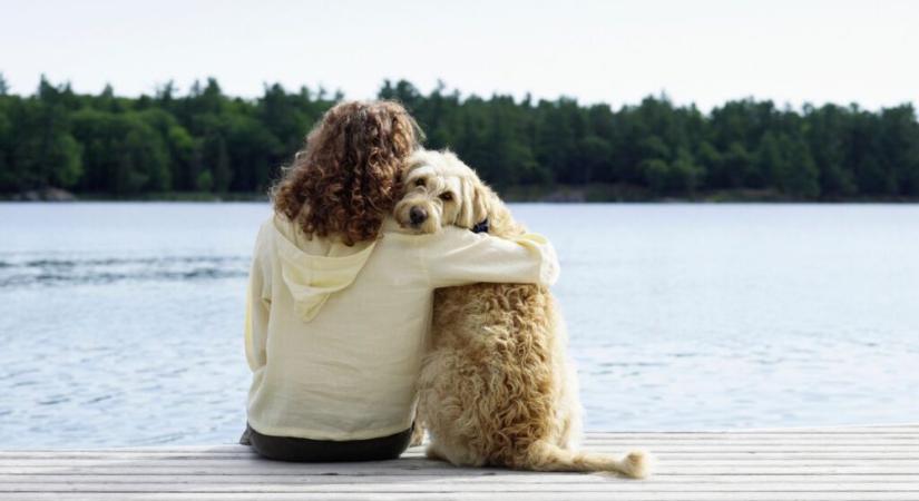 12 imádnivaló „hipoallergén” kutyus allergiás állatbarátoknak