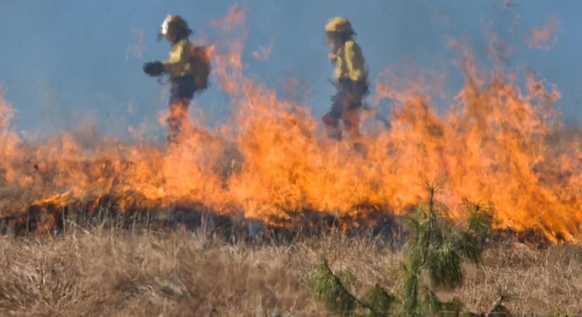 Ismét tűz pusztít Hajdúhadháznál, gabonatáblát és erdőt is veszélyeztetnek a lángok
