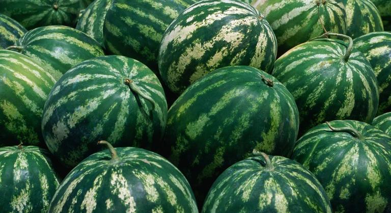 Döbbenetes dolog derült ki a magyar görögdinnyéről: ezt sokan nem gondolták volna