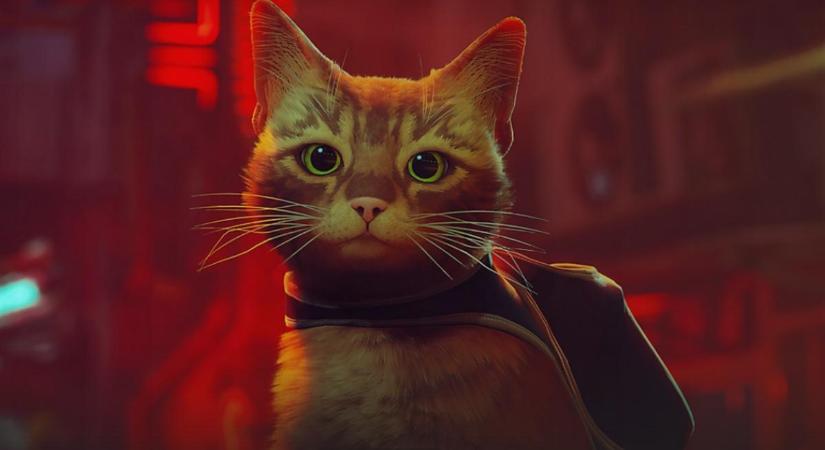 Stray: Nem csak a játékosok, hanem azok cicái is imádják a macskás sci-fit, dedikált Twitter-csatorna is indult a videóikkal