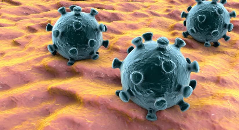 A pandémia újabb csúcskorszakát éljük - ott is megjelent a koronavírus, ahol eddig még nem ütötte fel a fejét