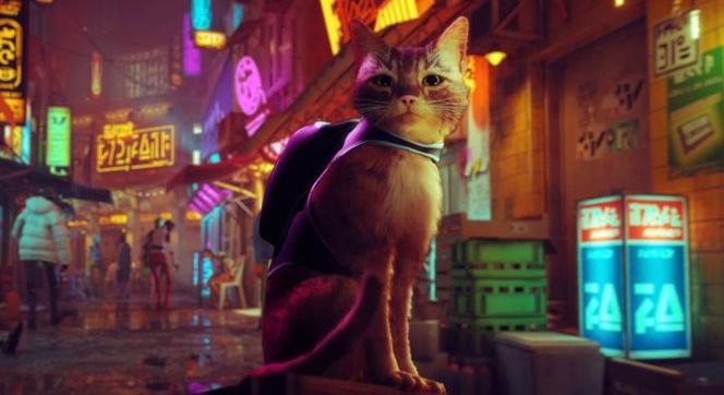 Stray – Egy kis vörös, kóbor macska nagy posztapokaliptikus kalandja