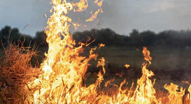 Több hektáron lángolt az erdő aljnövényzete Hajdúhadházon