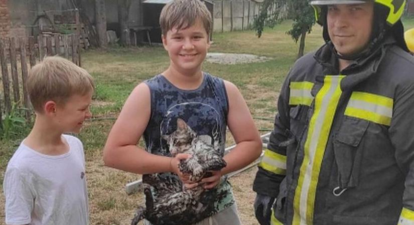 Kútba esett a macska Vas megyében, a sárvári tűzoltók mentették ki