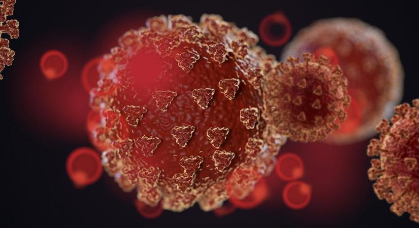 Megvan, honnan származhat a világjárványt okozó koronavírus