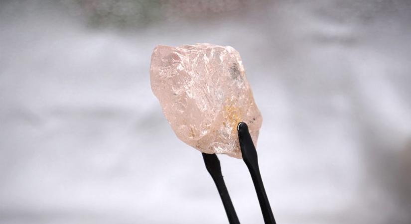 170 karátos rózsaszín gyémántra bukkantak