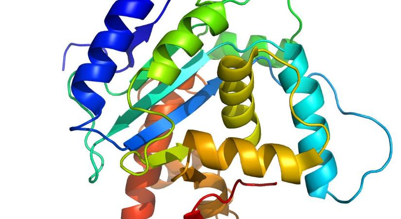 200 millió fehérje térszerkezetét tárta fel egyetlen év alatt a DeepMind fehérjekutató algoritmusa