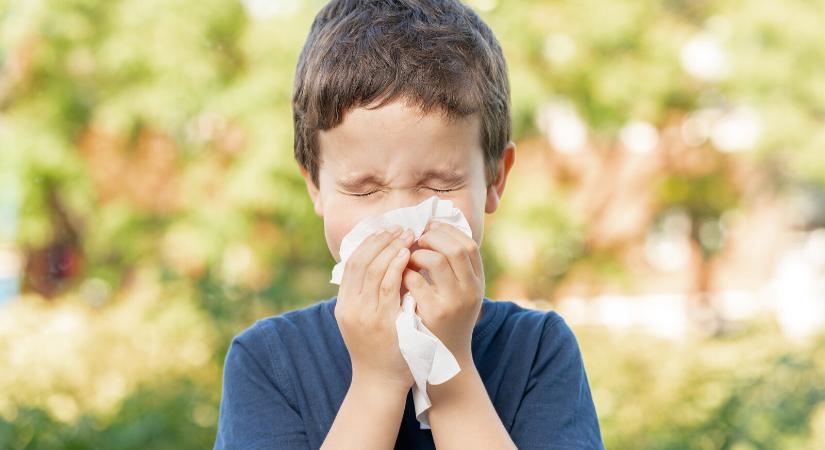 Az allergia nem megy nyári szabadságra