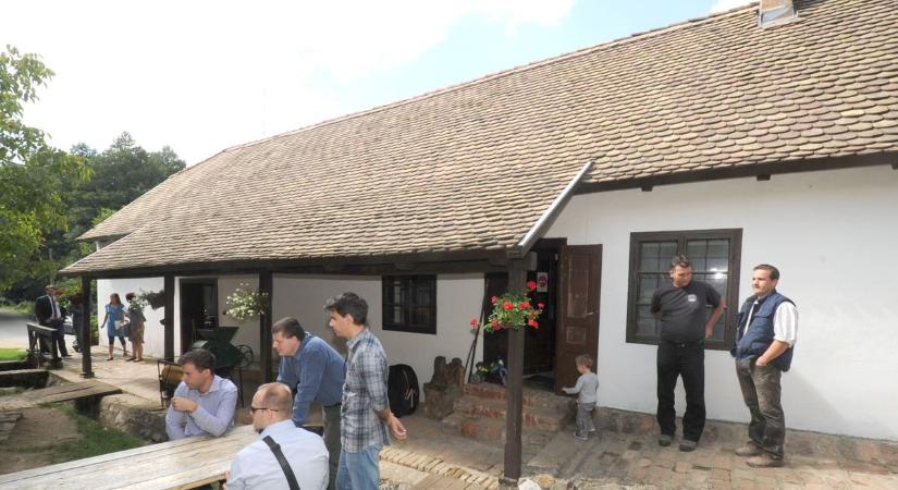 Pénteki programajánló