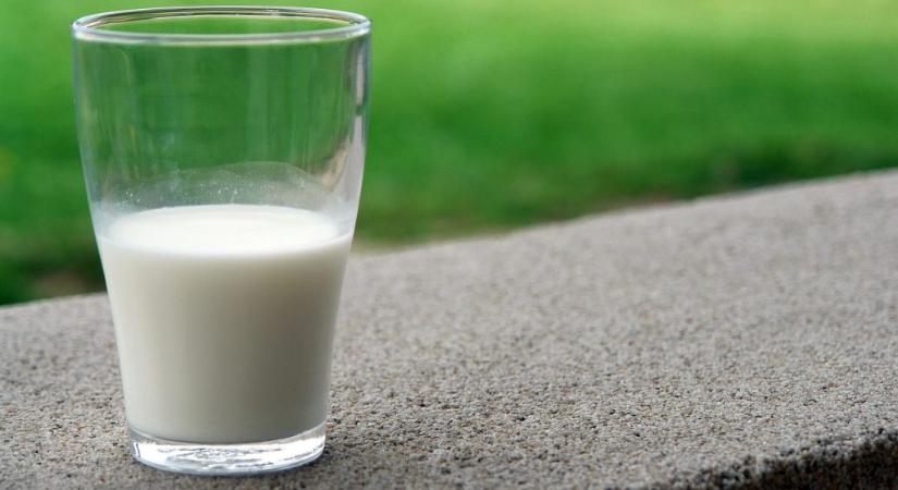 Éhínség és betegségek segítették a tejfogyasztás terjedését