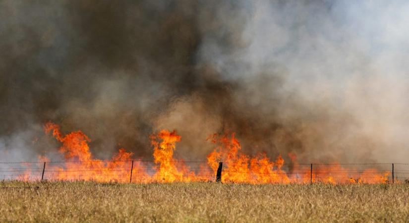 Több hektáron lángol száraz fű és az aljnövényzet a IX. kerületben