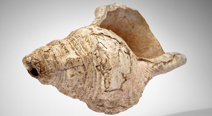 Kilencven év után derült ki: hangszer volt a 18 ezer éves kagyló