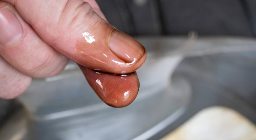 Mit tudhatsz meg a fáradt olajról ujjbeggyel?