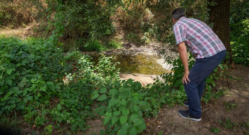 Nyomozócsoport is alakult, keresik a Tarna vizének tolvaját