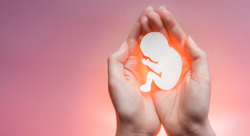 Először alkottak tudósok „szintetikus embriót”