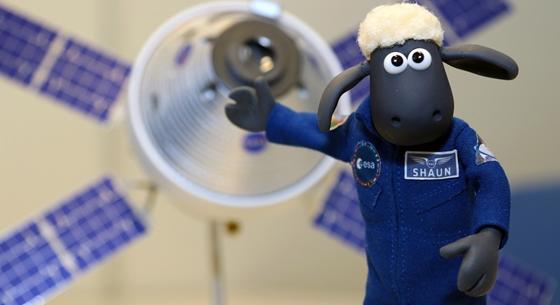 Az egyik leghíresebb bárányt küldik Hold körüli útra az újabb NASA-misszió részeként
