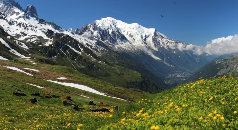 Letétet kérnének a Mont Blanc hegymászóitól temetési költségekre