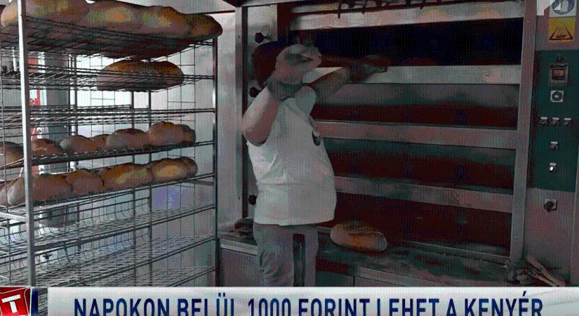 Atyavilág: már a Fidesz közeli TV is 1000 forintos kenyérárról számolt be (+videó)