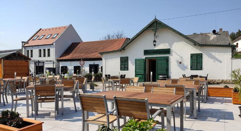 Bezár az egyik legnépszerűbb magyar borétterem, mert nem tudják fizetni a rezsit