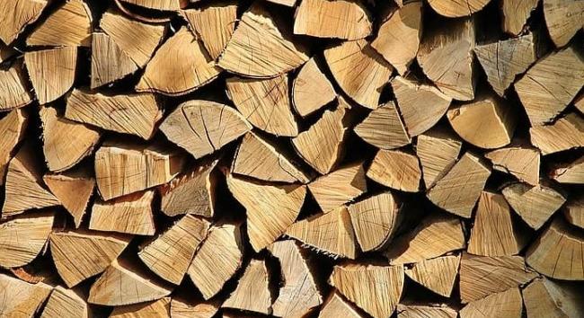 Nagy István: a fakitermelés nem jár erdőirtással