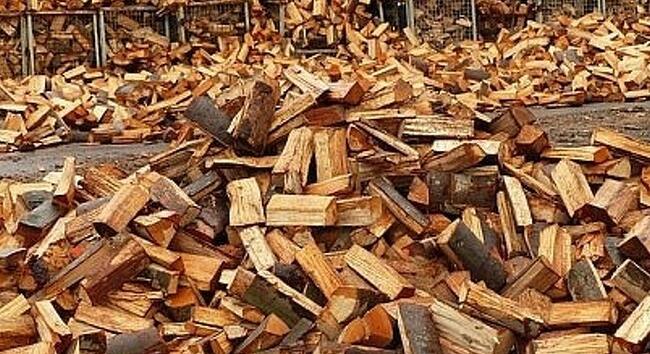 Fenntartható tűzifa kitermelést ígér az agrárminiszter
